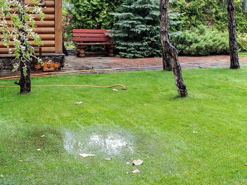 An Overloaded Septic System can back up into your yard