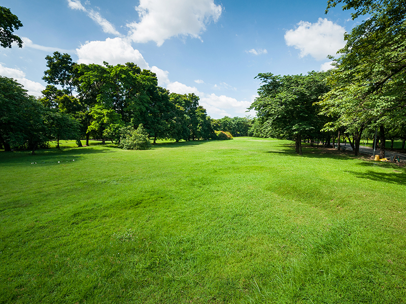 Septic inspections by Missouri Septic Services in Springfield, MO should be part of the regular maintenance of a home or business with a septic system